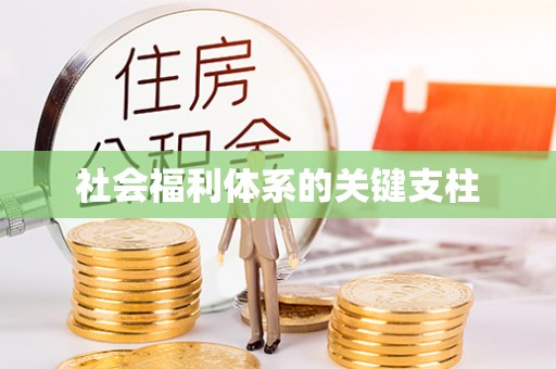 中宁社会福利体系的关键支柱
