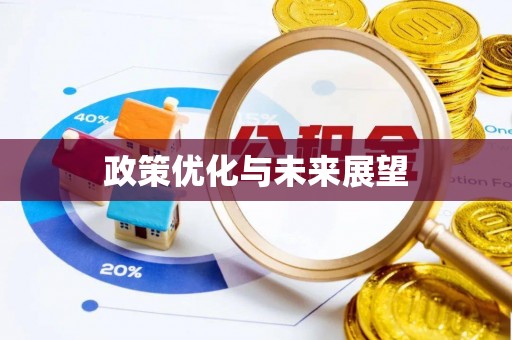 中宁政策优化与未来展望