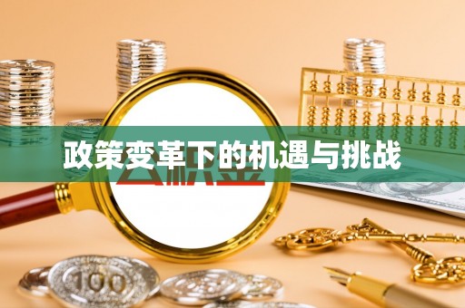 中宁政策变革下的机遇与挑战