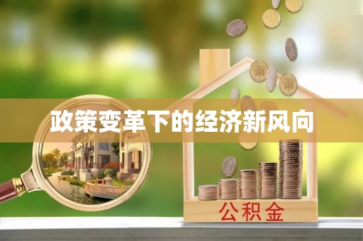 中宁政策变革下的经济新风向