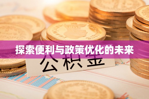 中宁探索便利与政策优化的未来