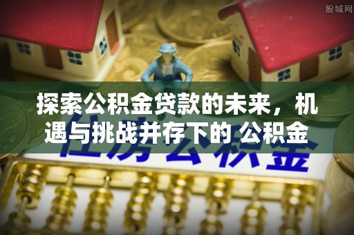 中宁探索公积金贷款的未来，机遇与挑战并存下的 公积金贷款风险防控