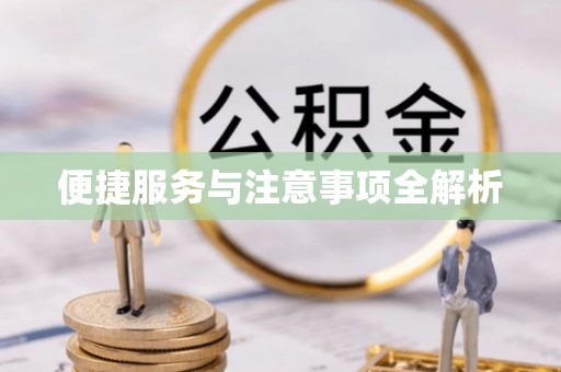 中宁便捷服务与注意事项全解析