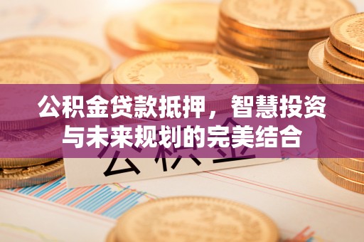 中宁公积金贷款抵押，智慧投资与未来规划的完美结合