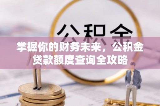 中宁掌握你的财务未来，公积金贷款额度查询全攻略